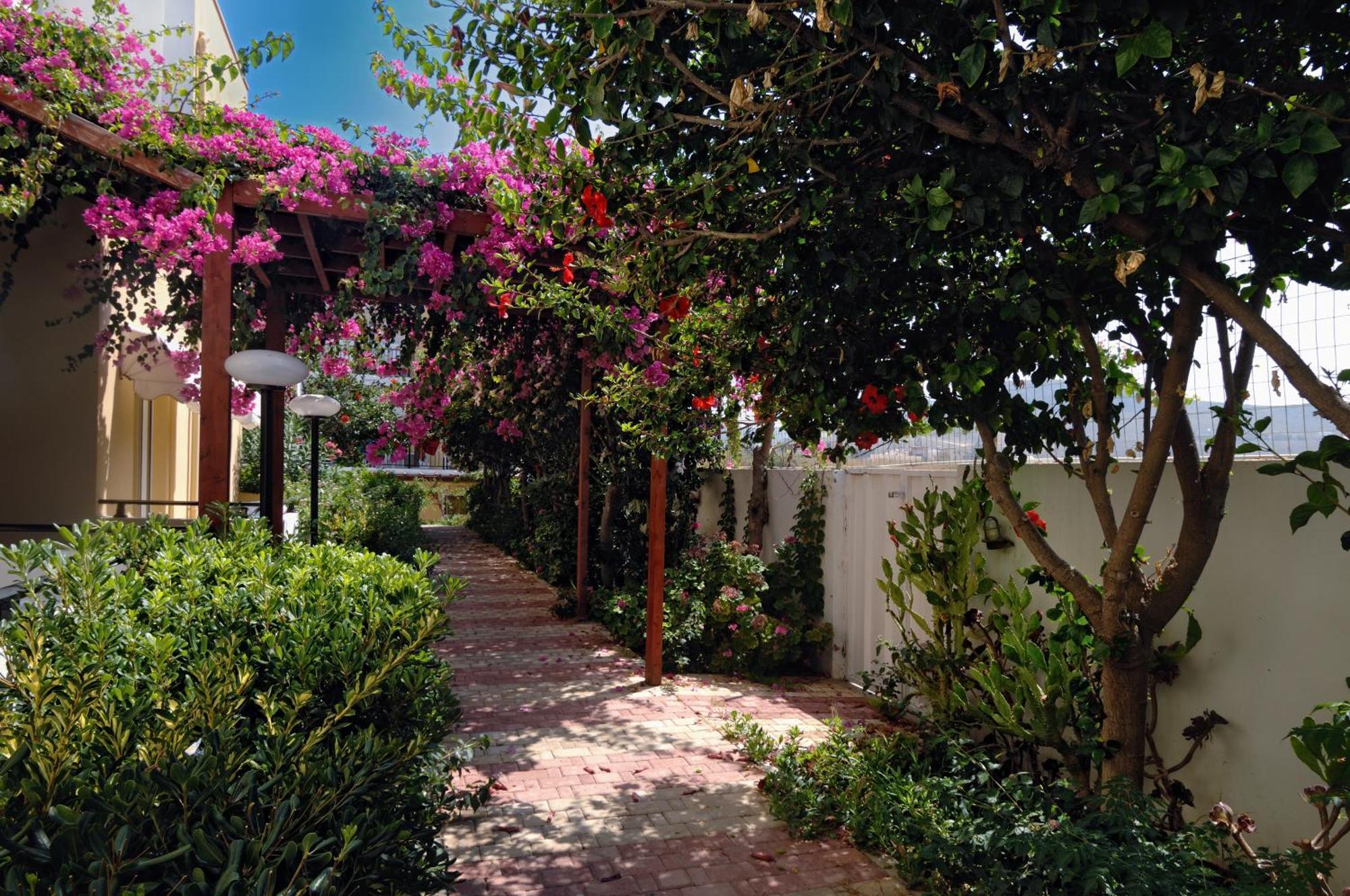 Golden Bay Boutique Hotel & Bungalows Kokkini Hani Room photo